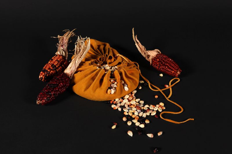 Three ears of reddish corn set around a leather bag that contains dried corn kernels.
